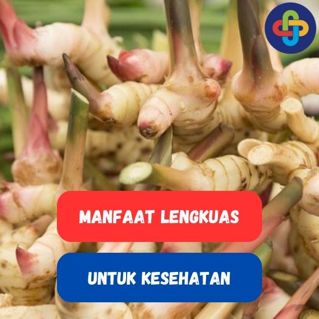 Kenali 5 Manfaat Lengkuas Untuk Kesehatan